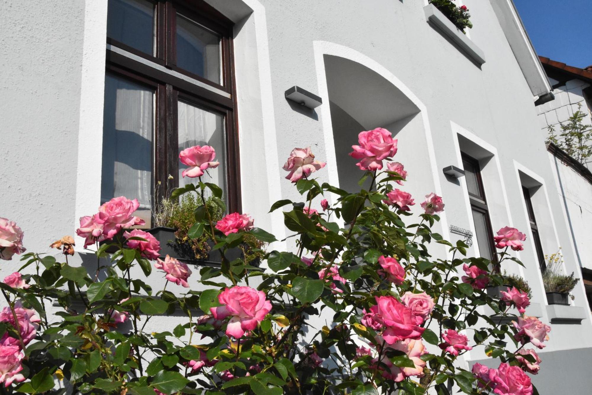 Reisekultouren Apartments Detmold Exteriér fotografie